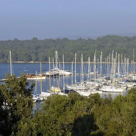 The House Aunt Regina Nyaraló Dragove