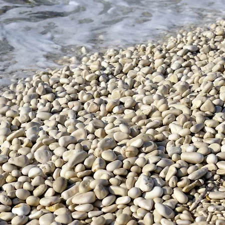 The House Aunt Regina *