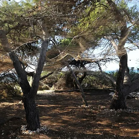 The House Aunt Regina Dragove