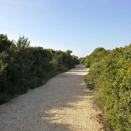 The House Aunt Regina Nyaraló Dragove