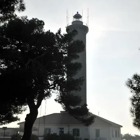 The House Aunt Regina Dragove