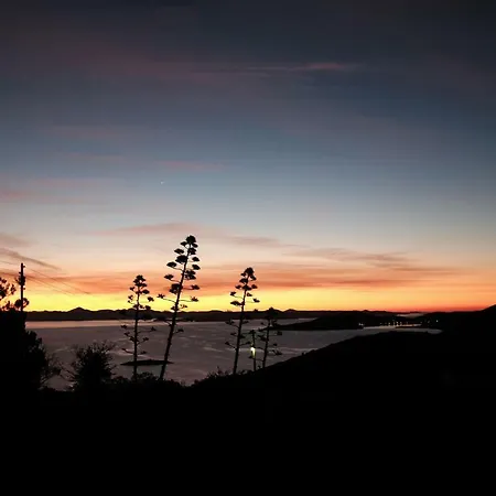 The House Aunt Regina