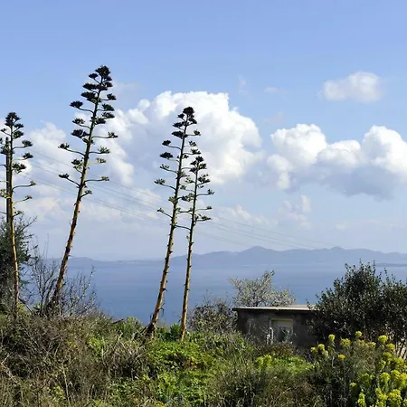 The House Aunt Regina *