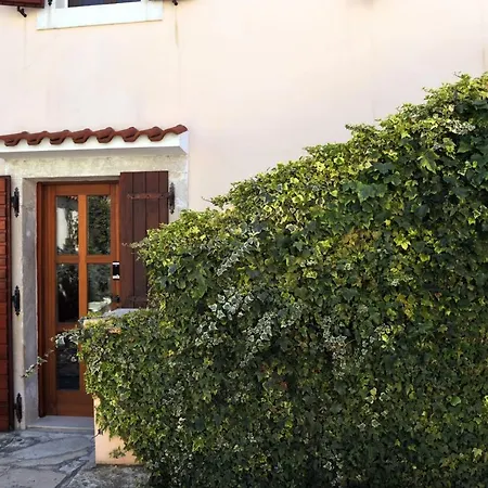 The House Aunt Regina Dragove