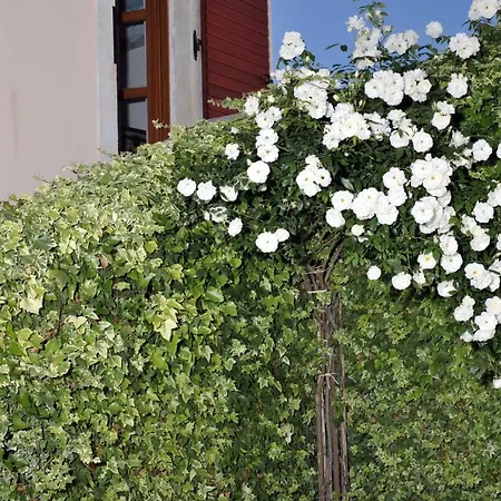 Nyaraló The House Aunt Regina