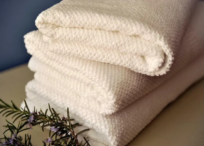 The House Aunt Regina Dragove